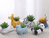Creative Cartoon Animal Succulent Planter Pots